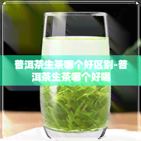 普洱茶生茶哪个好区别-普洱茶生茶哪个好喝