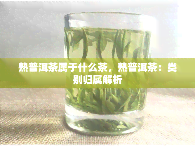 熟普洱茶属于什么茶，熟普洱茶：类别归属解析