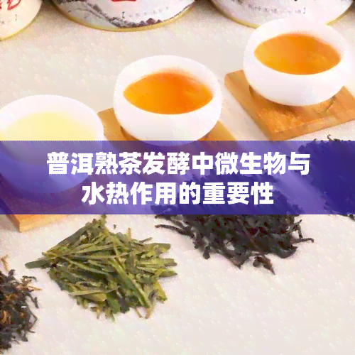 普洱熟茶发酵中微生物与水热作用的重要性