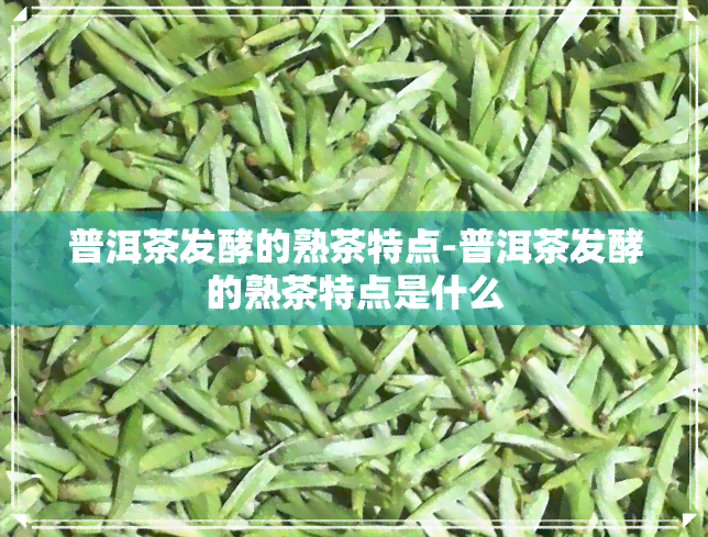 普洱茶发酵的熟茶特点-普洱茶发酵的熟茶特点是什么