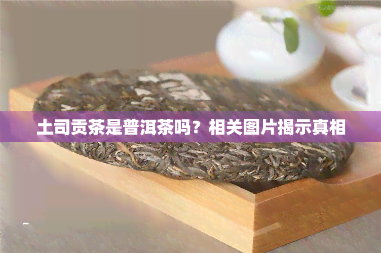 土司贡茶是普洱茶吗？相关图片揭示真相