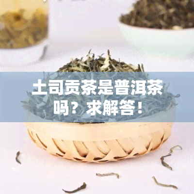 土司贡茶是普洱茶吗？求解答！