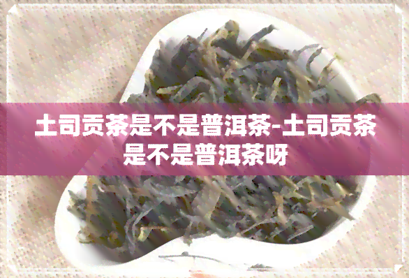 土司贡茶是不是普洱茶-土司贡茶是不是普洱茶呀