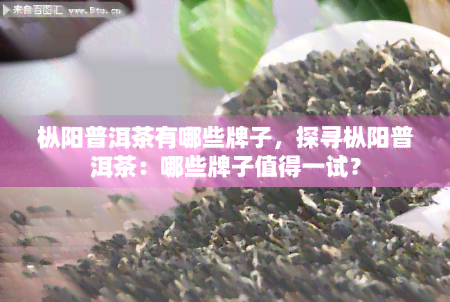 枞阳普洱茶有哪些牌子，探寻枞阳普洱茶：哪些牌子值得一试？