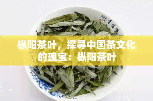 枞阳茶叶，探寻中国茶文化的瑰宝：枞阳茶叶