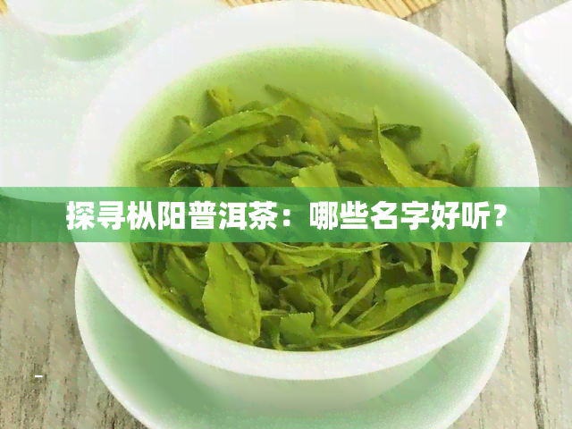 探寻枞阳普洱茶：哪些名字好听？