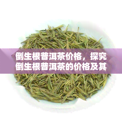 倒生根普洱茶价格，探究倒生根普洱茶的价格及其背后的故事