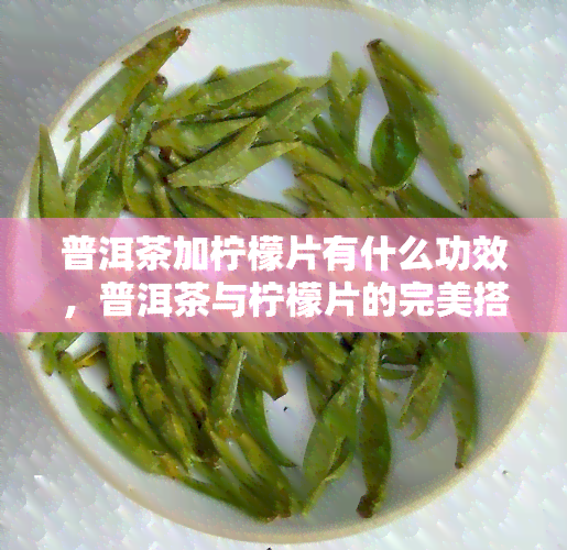 普洱茶加柠檬片有什么功效，普洱茶与柠檬片的完美搭配：探索其独特功效