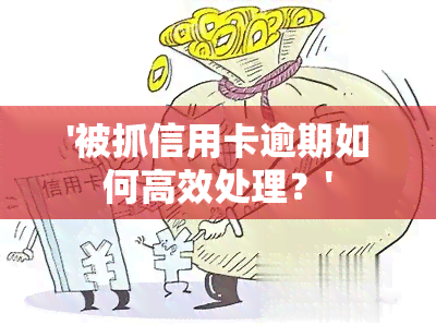 '被抓信用卡逾期如何高效处理？'