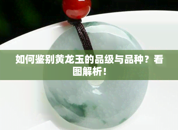 如何鉴别黄龙玉的品级与品种？看图解析！