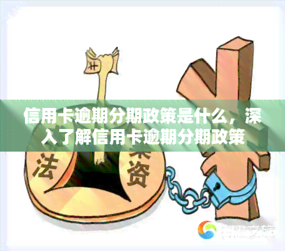 信用卡逾期分期政策是什么，深入了解信用卡逾期分期政策