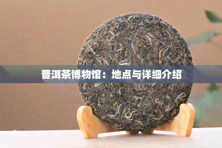 普洱茶博物馆：地点与详细介绍