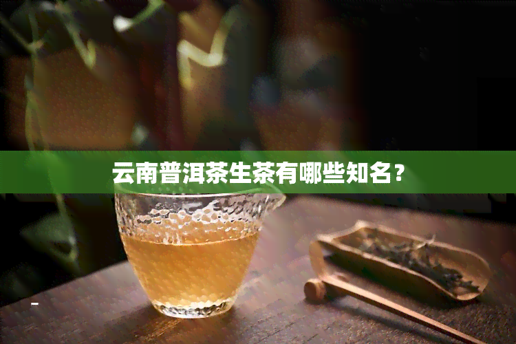 云南普洱茶生茶有哪些知名？