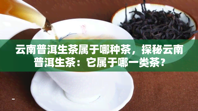 云南普洱生茶属于哪种茶，探秘云南普洱生茶：它属于哪一类茶？