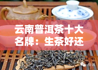 云南普洱茶十大名牌：生茶好还是熟茶好？口感比较解析