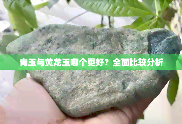 青玉与黄龙玉哪个更好？全面比较分析