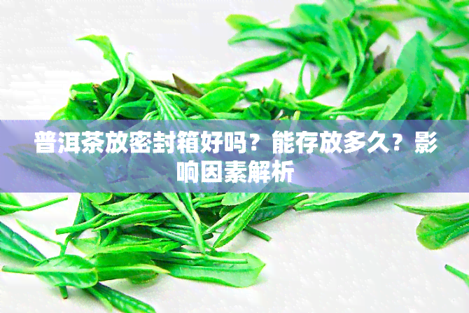 普洱茶放密封箱好吗？能存放多久？影响因素解析