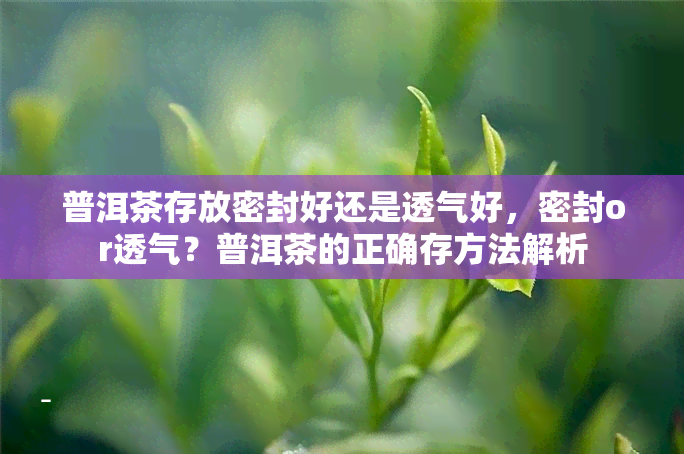 普洱茶存放密封好还是透气好，密封or透气？普洱茶的正确存方法解析