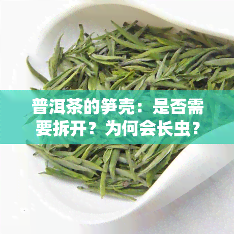 普洱茶的笋壳：是否需要拆开？为何会长虫？