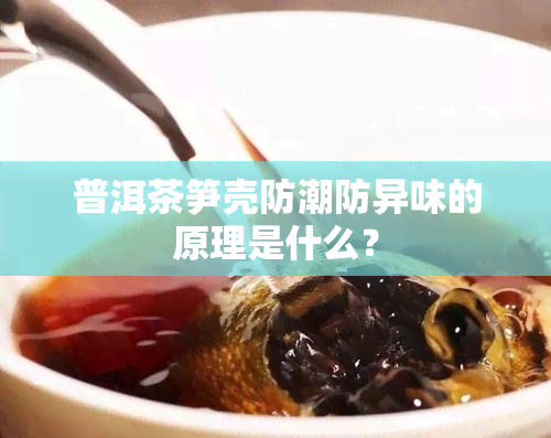 普洱茶笋壳防潮防异味的原理是什么？