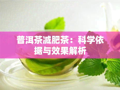 普洱茶减肥茶：科学依据与效果解析