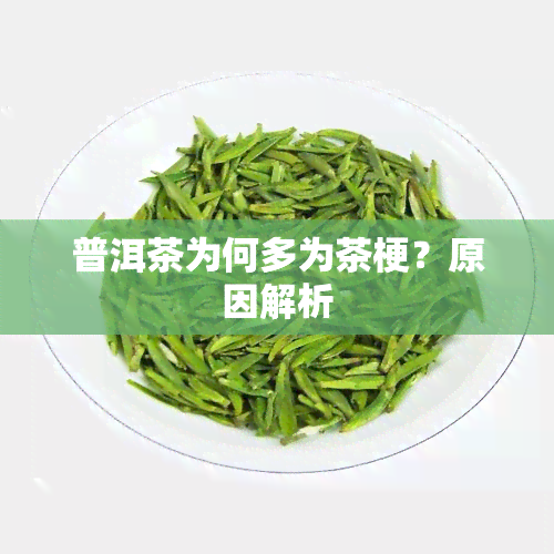 普洱茶为何多为茶梗？原因解析