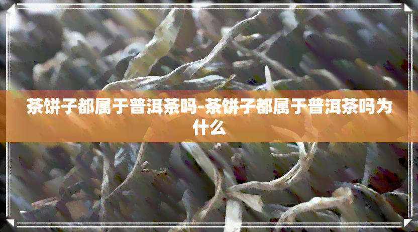 茶饼子都属于普洱茶吗-茶饼子都属于普洱茶吗为什么