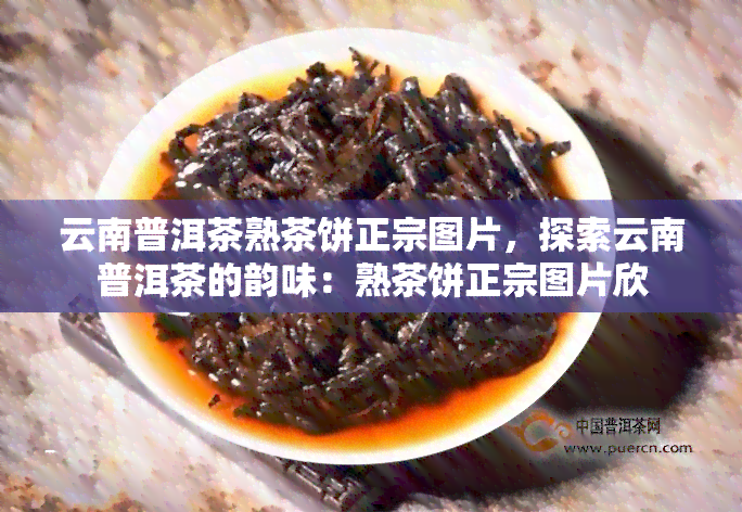 云南普洱茶熟茶饼正宗图片，探索云南普洱茶的韵味：熟茶饼正宗图片欣