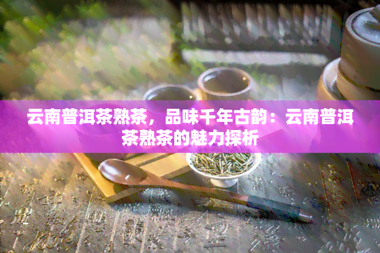 云南普洱茶熟茶，品味千年古韵：云南普洱茶熟茶的魅力探析