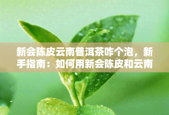 新会陈皮云南普洱茶咋个泡，新手指南：如何用新会陈皮和云南普洱茶冲泡一杯美味的茶饮？