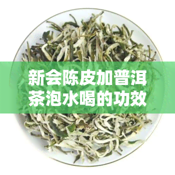 新会陈皮加普洱茶泡水喝的功效，探讨新会陈皮加普洱茶泡水喝的神奇功效