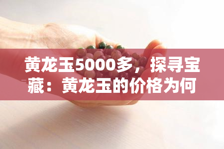 黄龙玉5000多，探寻宝藏：黄龙玉的价格为何高达5000多元？