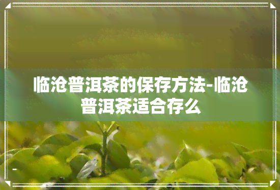 临沧普洱茶的保存方法-临沧普洱茶适合存么