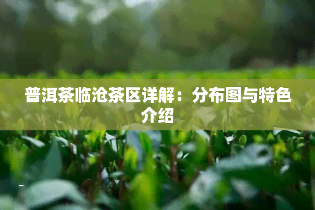 普洱茶临沧茶区详解：分布图与特色介绍