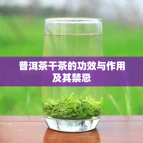 普洱茶干茶的功效与作用及其禁忌