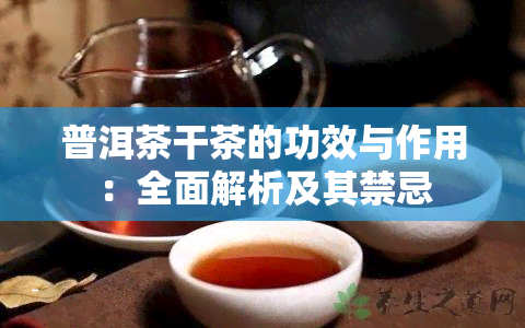 普洱茶干茶的功效与作用：全面解析及其禁忌