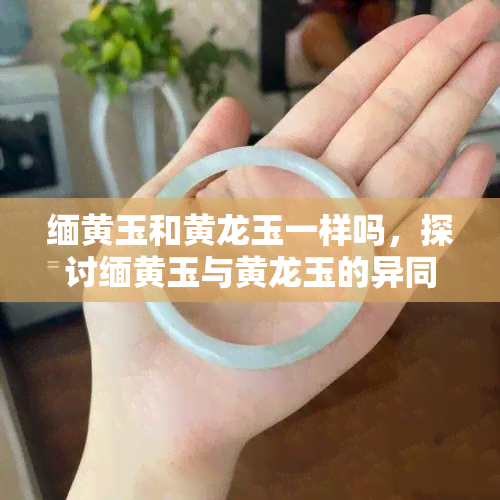 缅黄玉和黄龙玉一样吗，探讨缅黄玉与黄龙玉的异同：是否为同一品种？