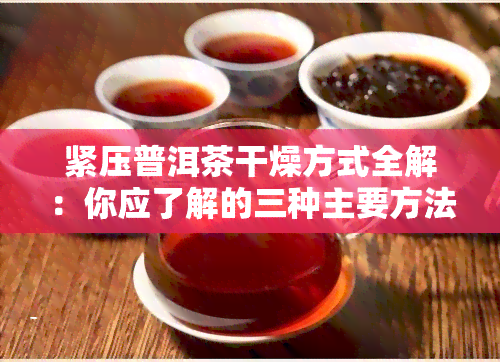 紧压普洱茶干燥方式全解：你应了解的三种主要方法