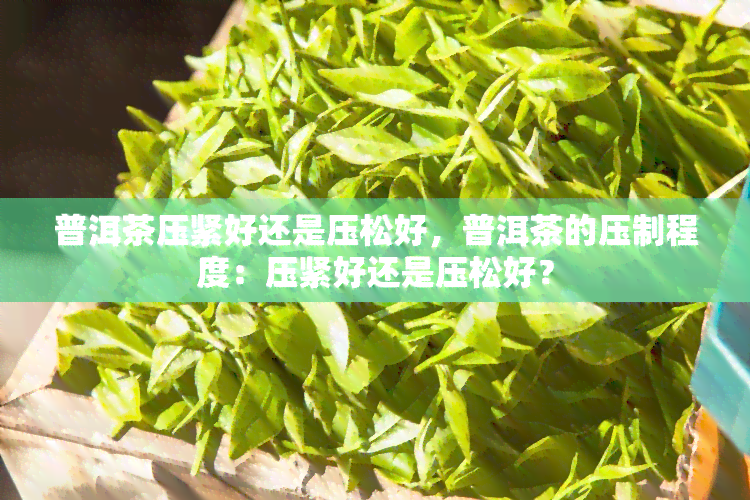 普洱茶压紧好还是压松好，普洱茶的压制程度：压紧好还是压松好？