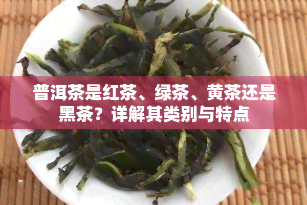 普洱茶是红茶、绿茶、黄茶还是黑茶？详解其类别与特点