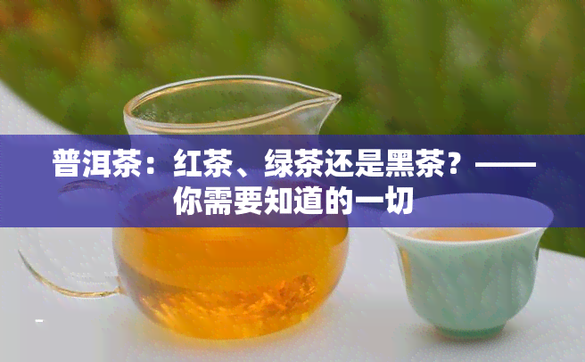 普洱茶：红茶、绿茶还是黑茶？——你需要知道的一切