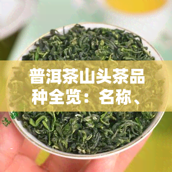 普洱茶山头茶品种全览：名称、图片一网打尽，超70字节请分阅读