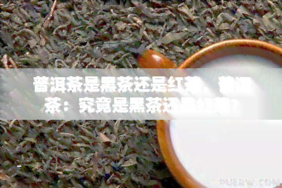 普洱茶是黑茶还是红茶，普洱茶：究竟是黑茶还是红茶？