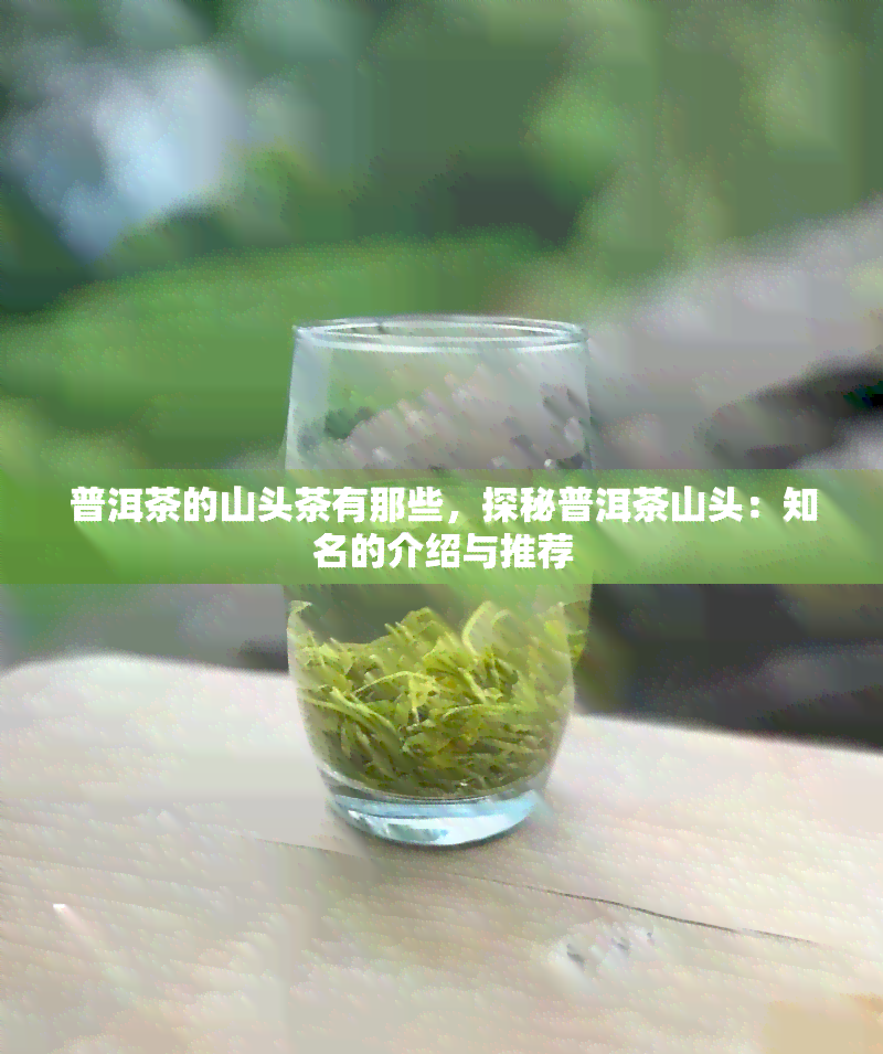 普洱茶的山头茶有那些，探秘普洱茶山头：知名的介绍与推荐