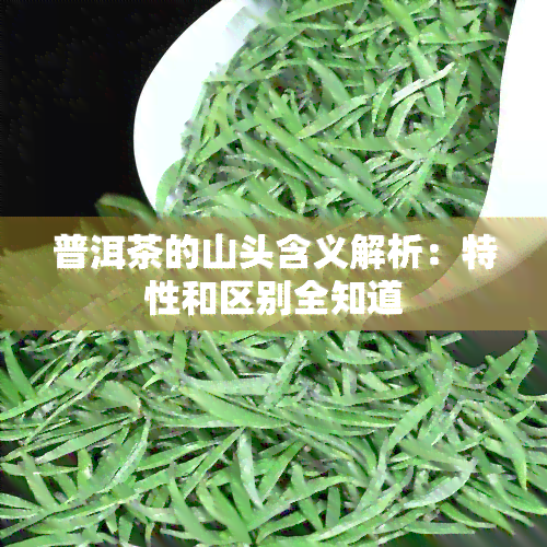 普洱茶的山头含义解析：特性和区别全知道