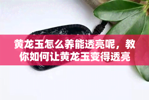 黄龙玉怎么养能透亮呢，教你如何让黄龙玉变得透亮——养护技巧大揭秘！