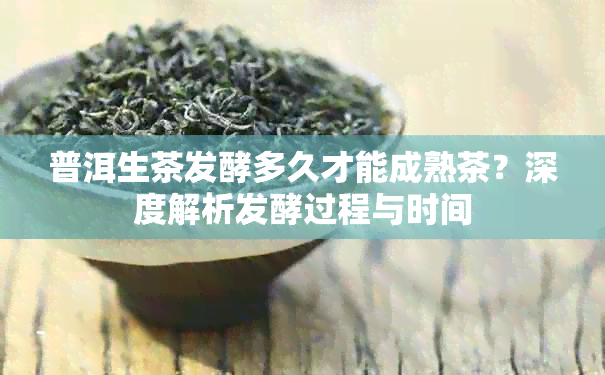 普洱生茶发酵多久才能成熟茶？深度解析发酵过程与时间