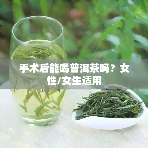 手术后能喝普洱茶吗？女性/女生适用