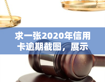 求一张2020年信用卡逾期截图，展示欠款情况