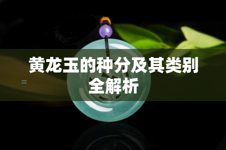 黄龙玉的种分及其类别全解析